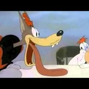 Meet your Posher, Joshua